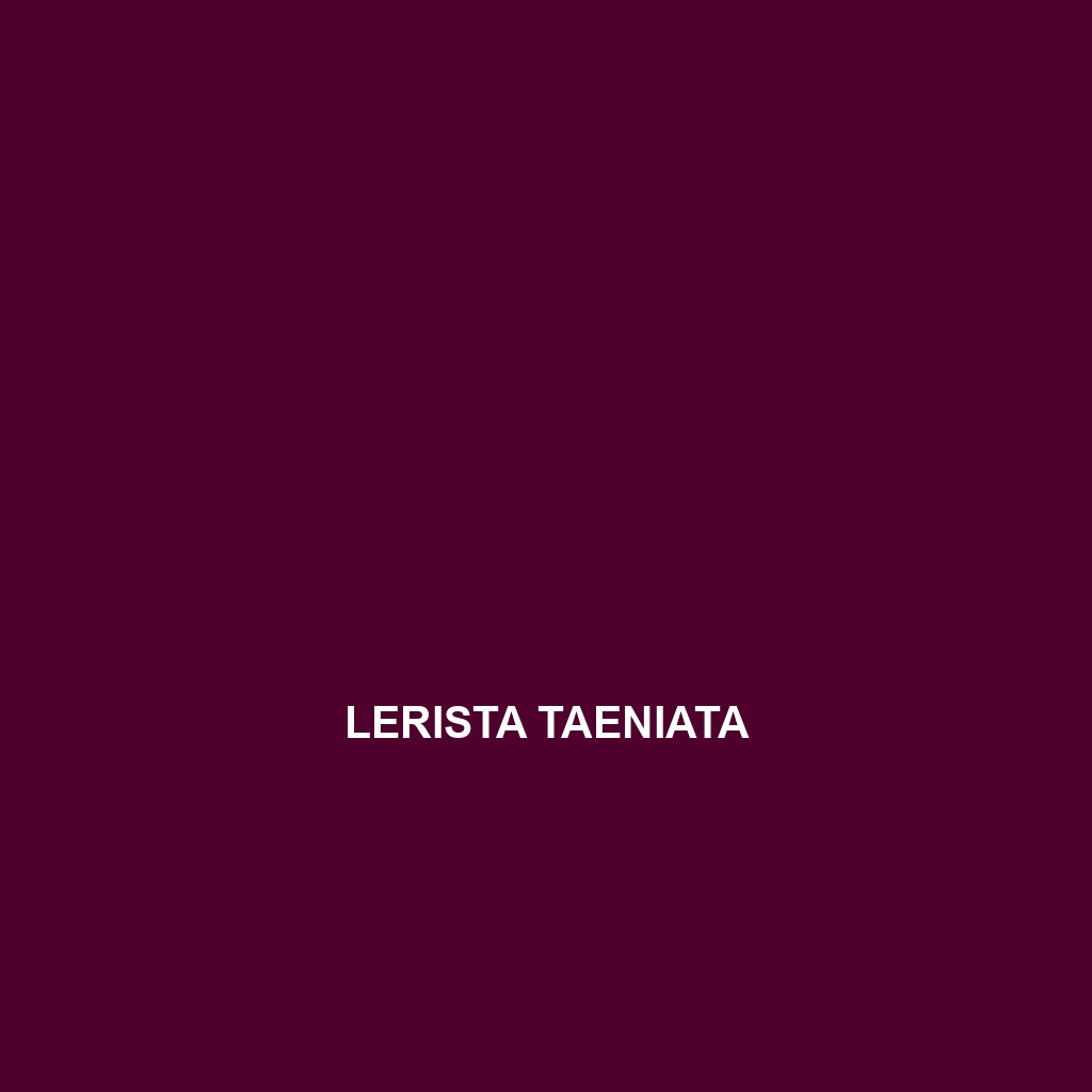 Lerista taeniata