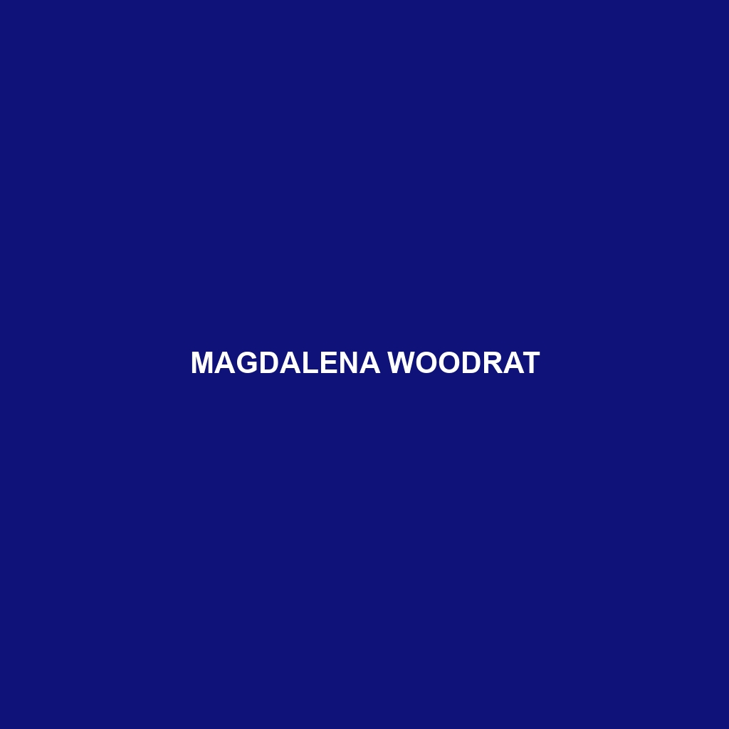 Magdalena Woodrat