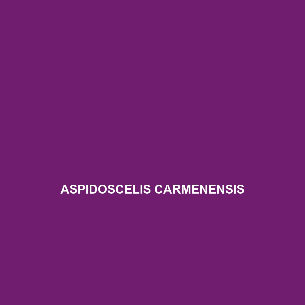 Aspidoscelis carmenensis