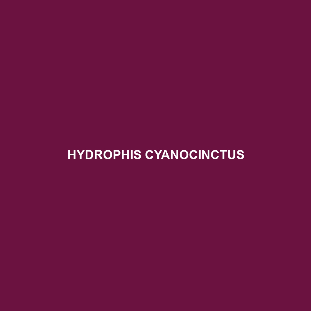 Hydrophis cyanocinctus