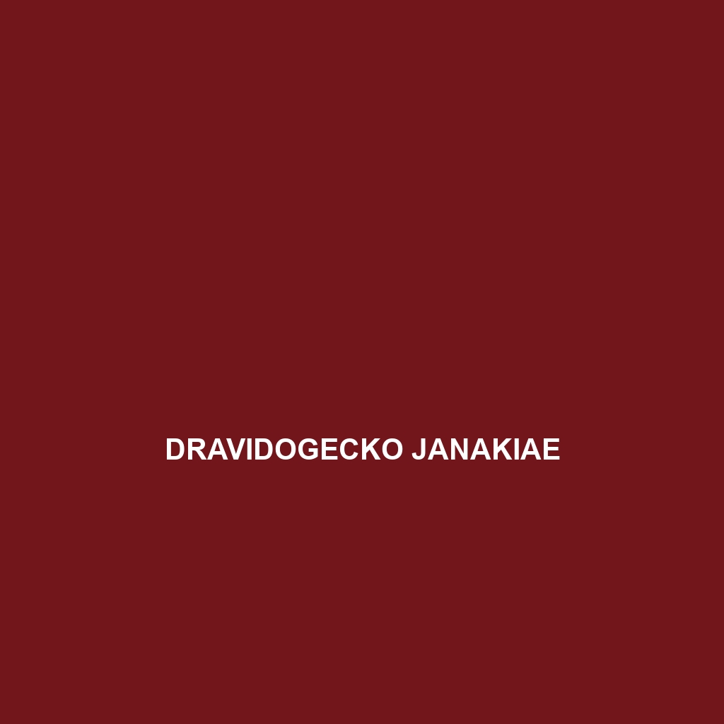 Dravidogecko janakiae