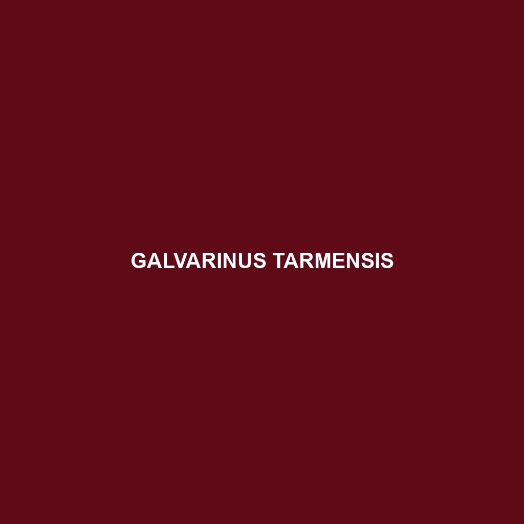 Galvarinus tarmensis