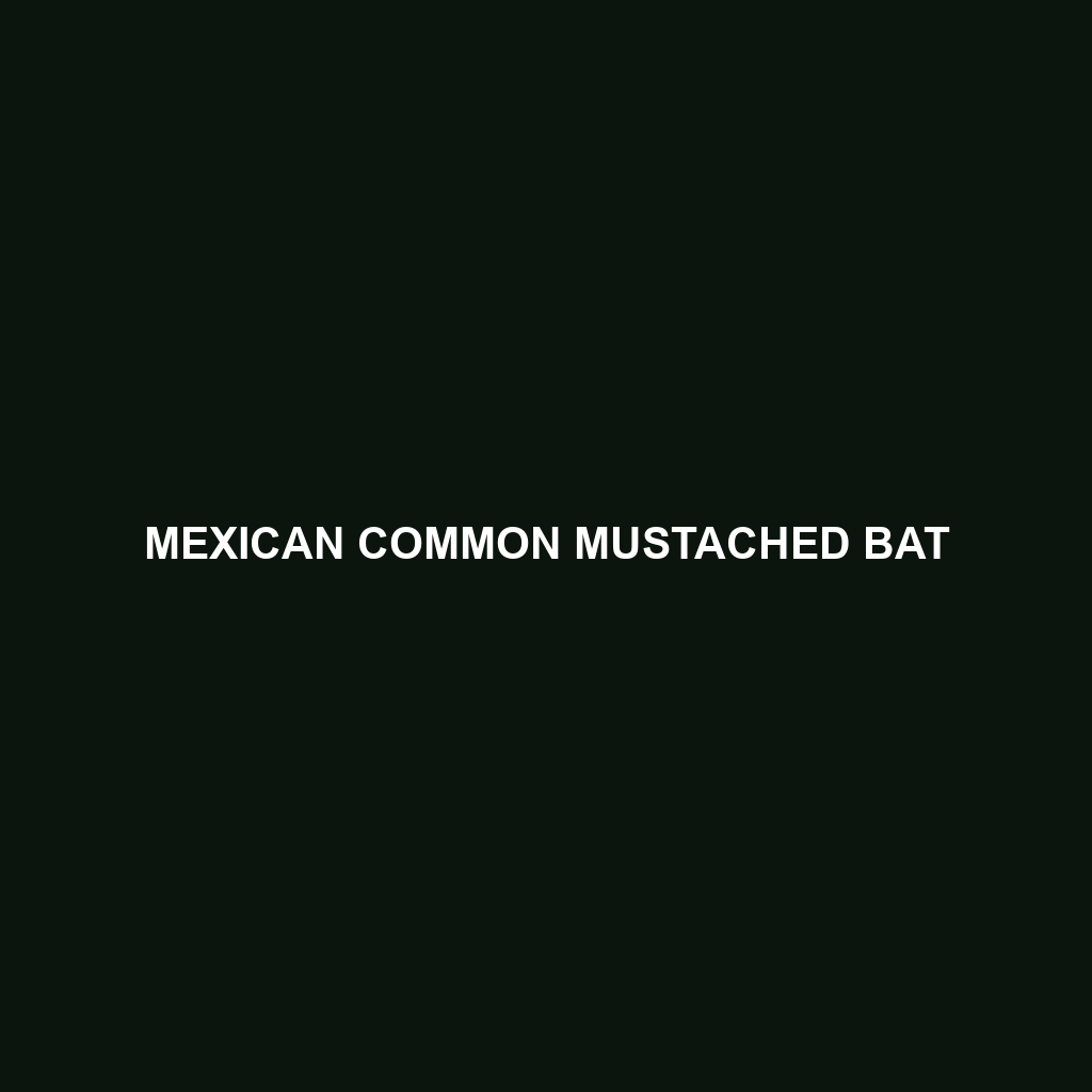 Mexican Common Mustached Bat