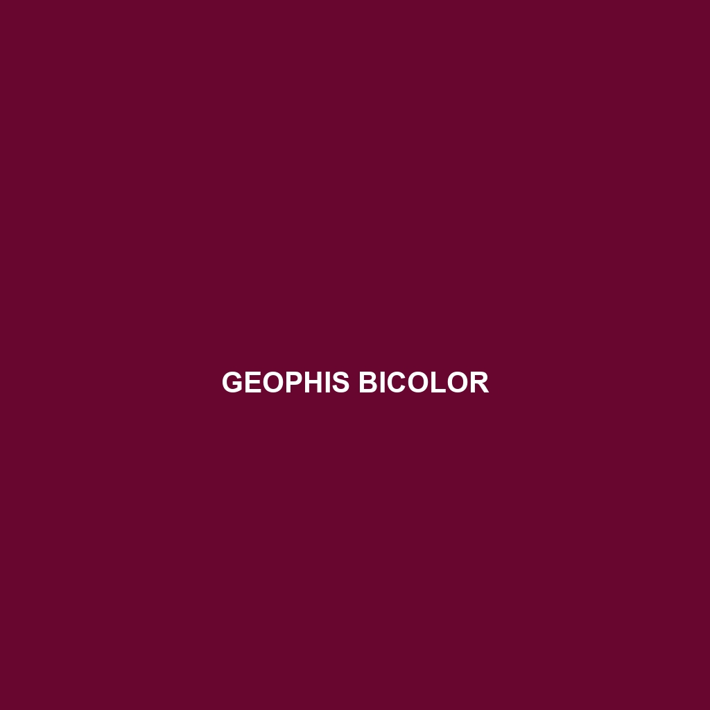 Geophis bicolor