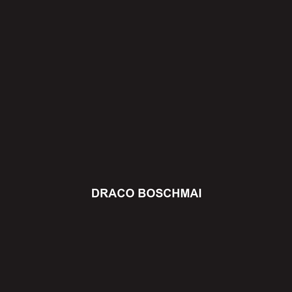 Draco boschmai