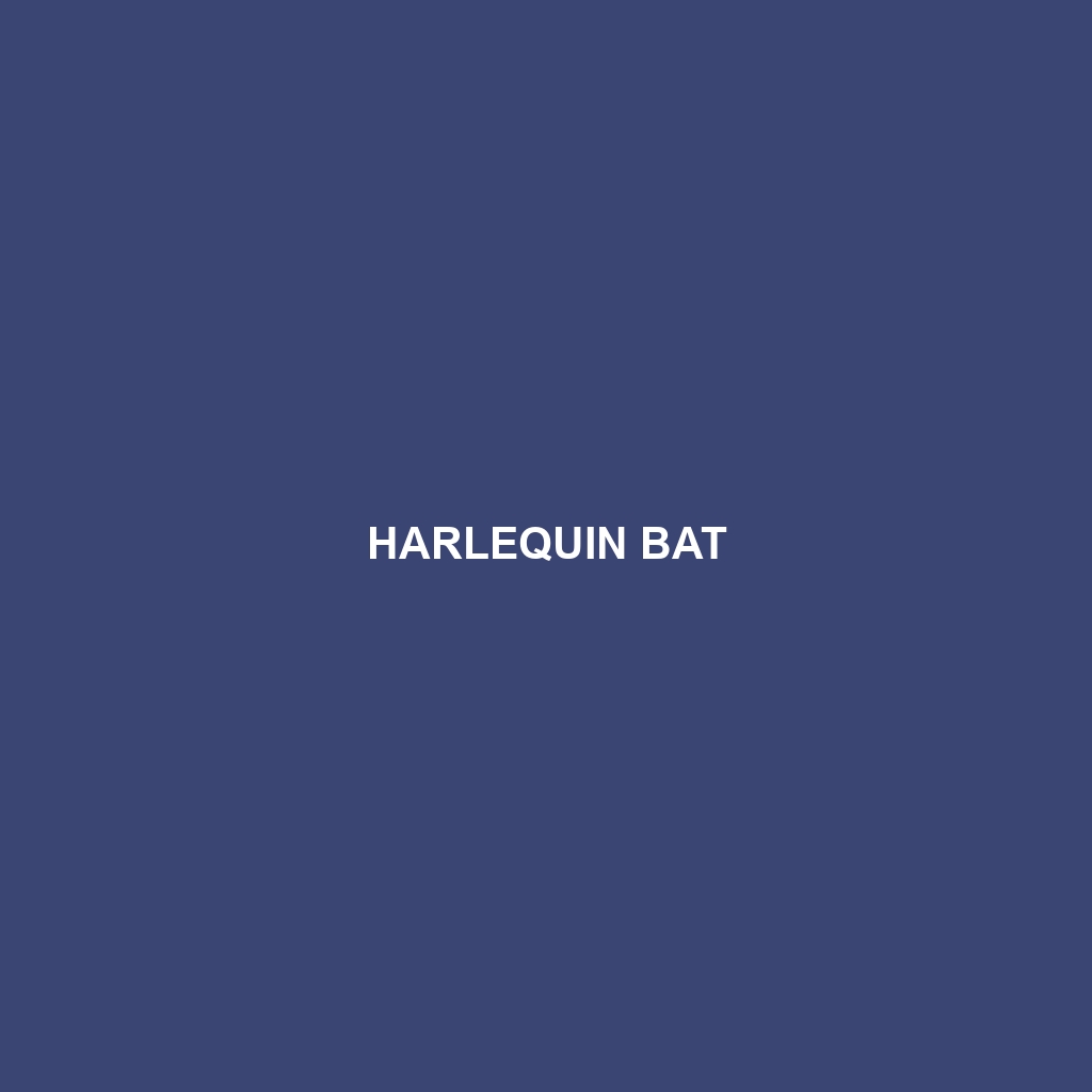 Harlequin Bat