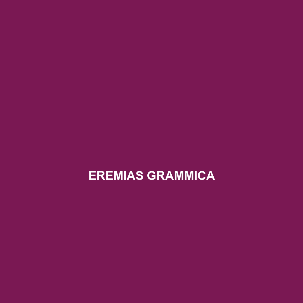 Eremias grammica