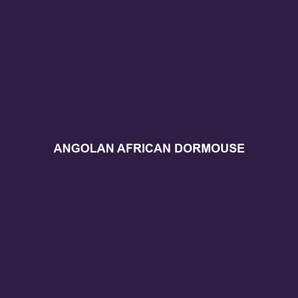 Angolan African Dormouse