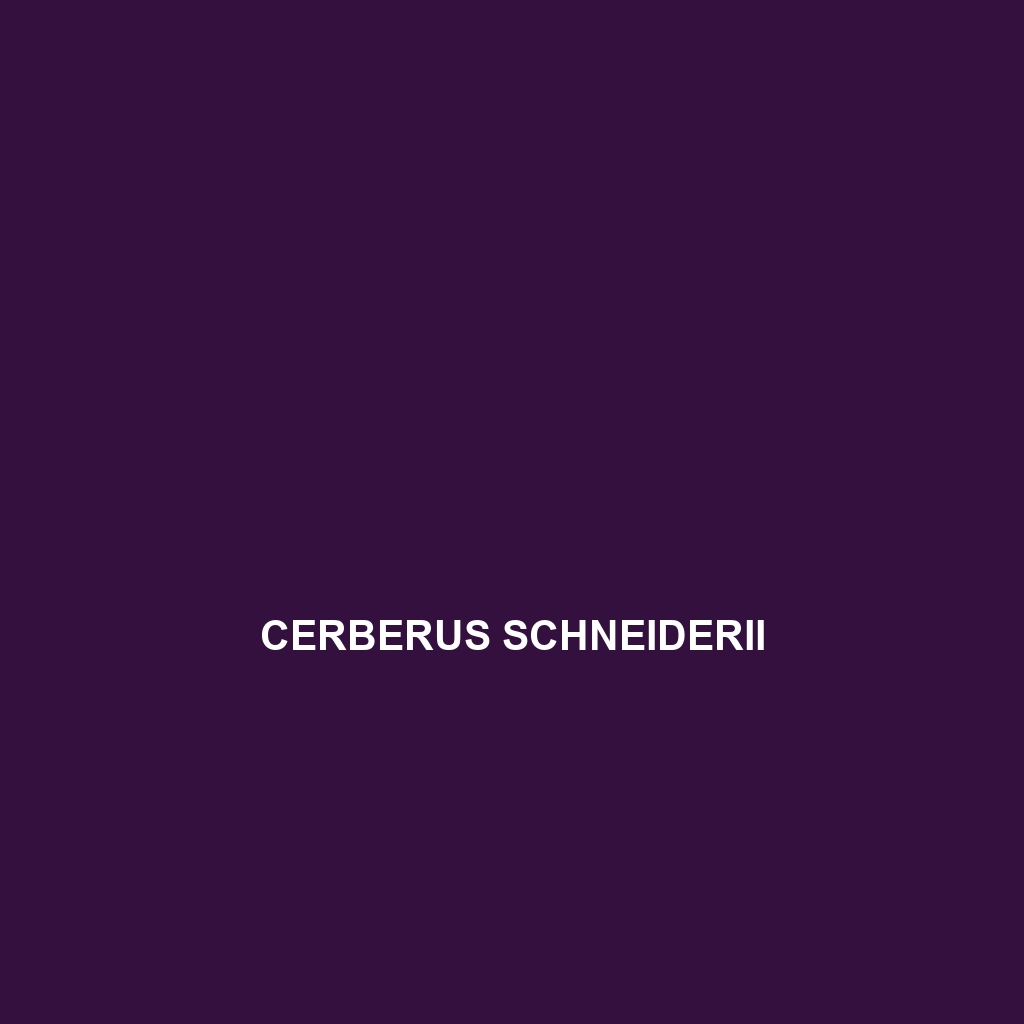 Cerberus schneiderii