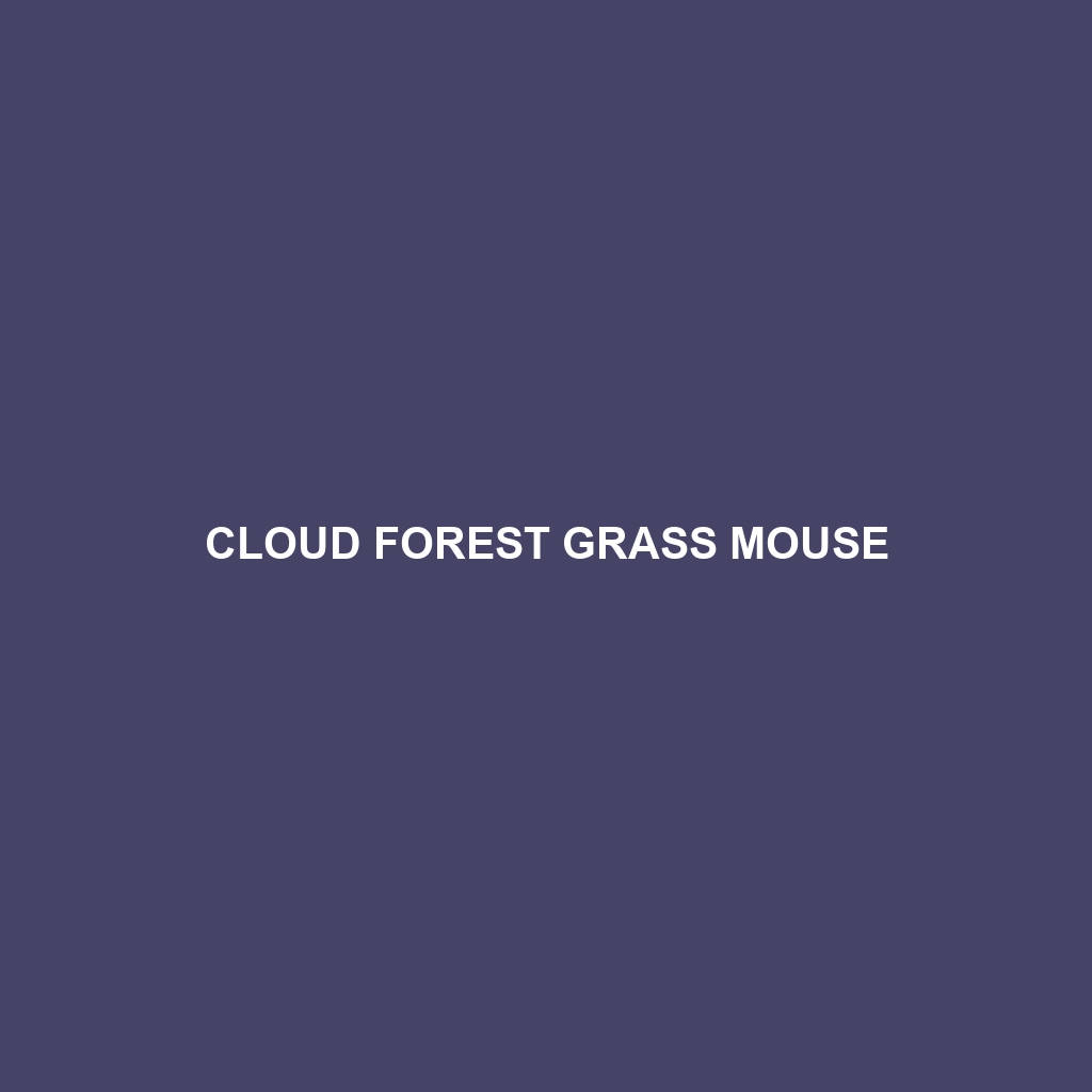 Cloud Forest Grass Mouse