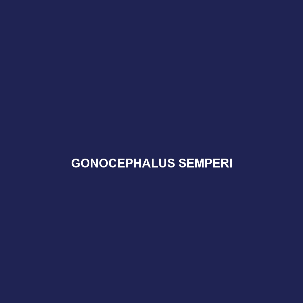 Gonocephalus semperi