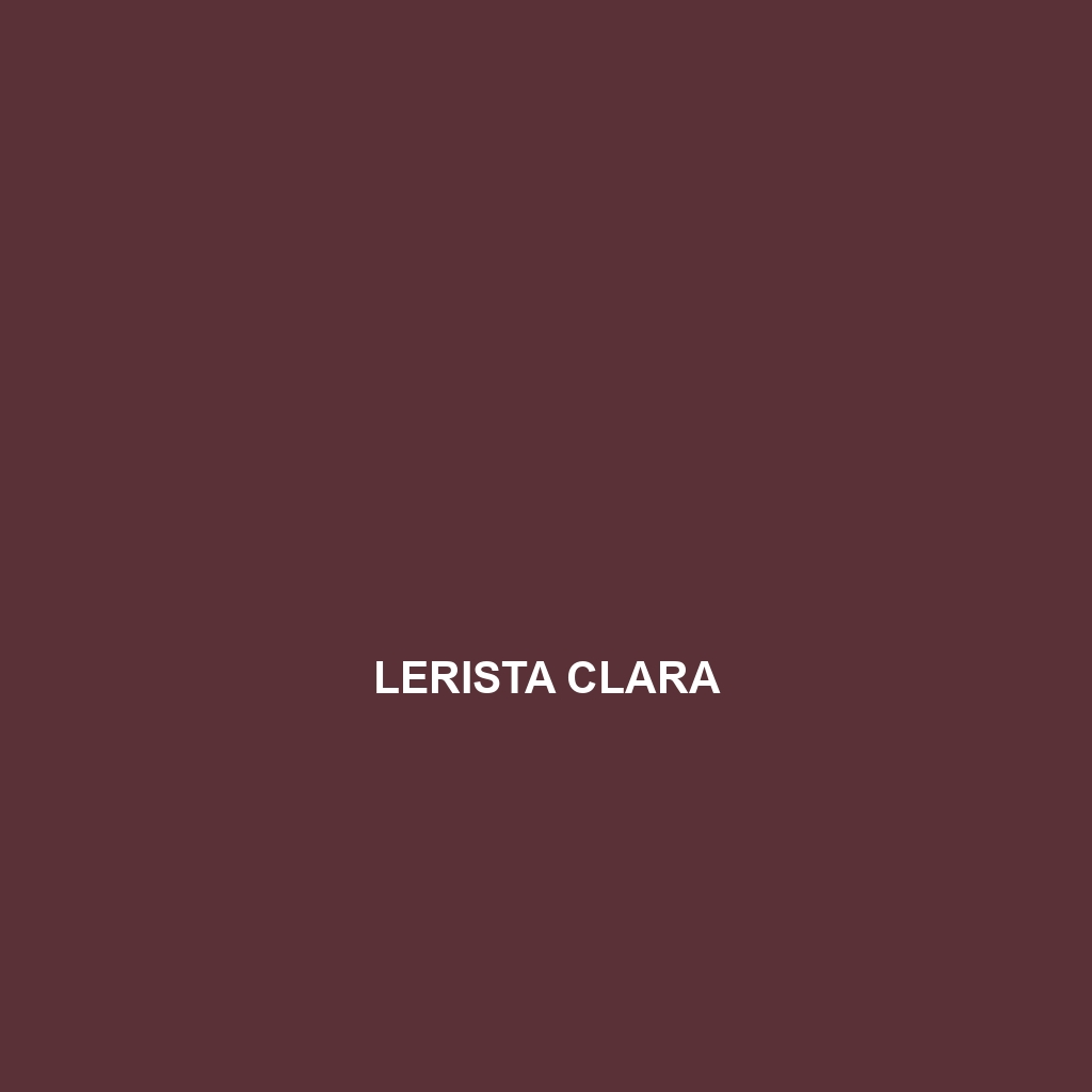 Lerista cinerea