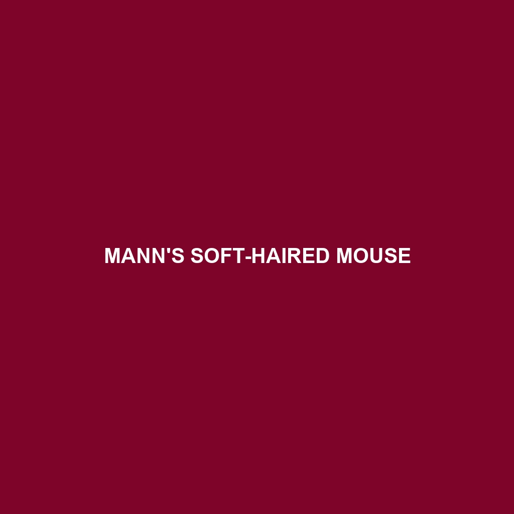 Mann's Soft-haired Mouse