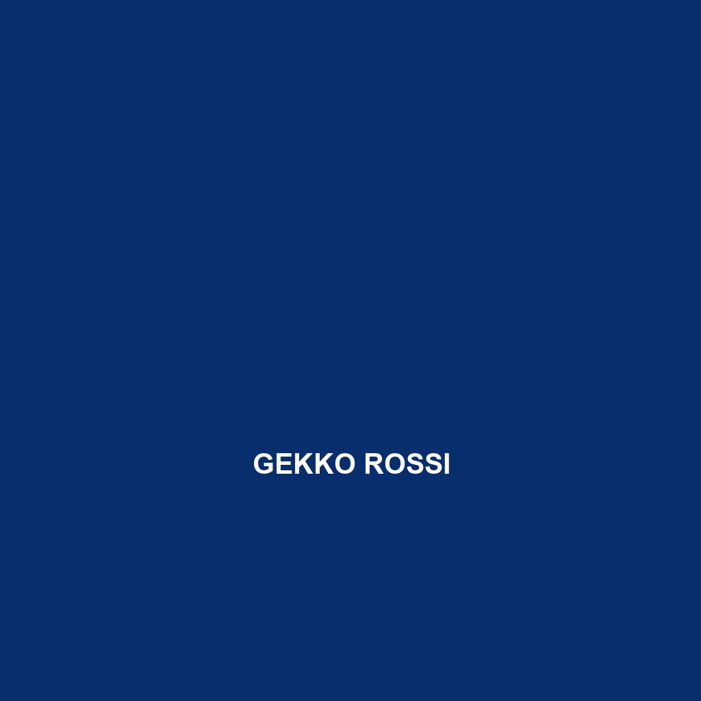 Gekko rossi