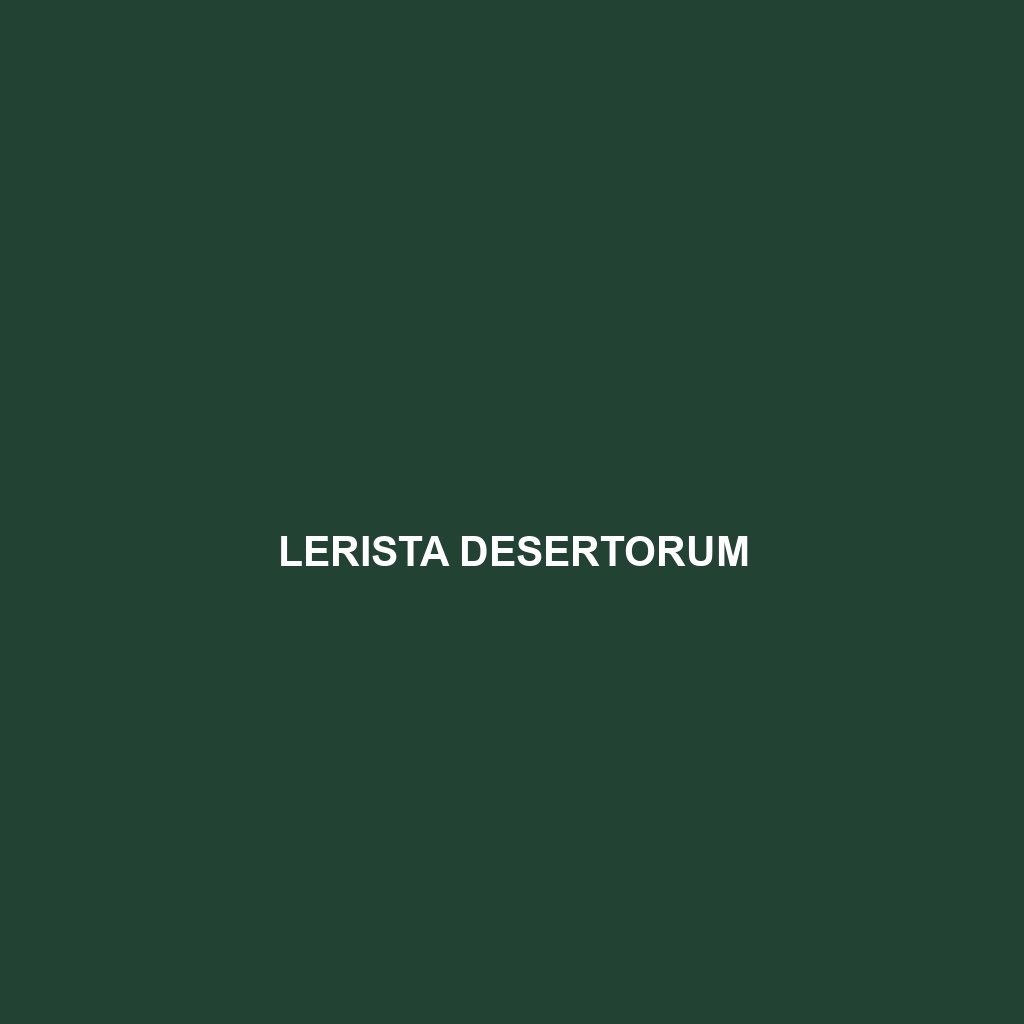 Lerista desertorum