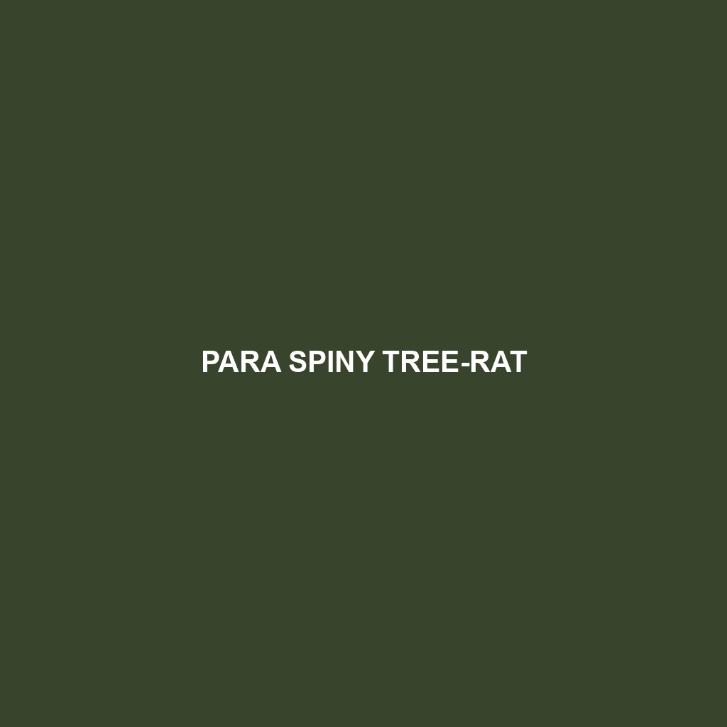 Para Spiny Tree-rat