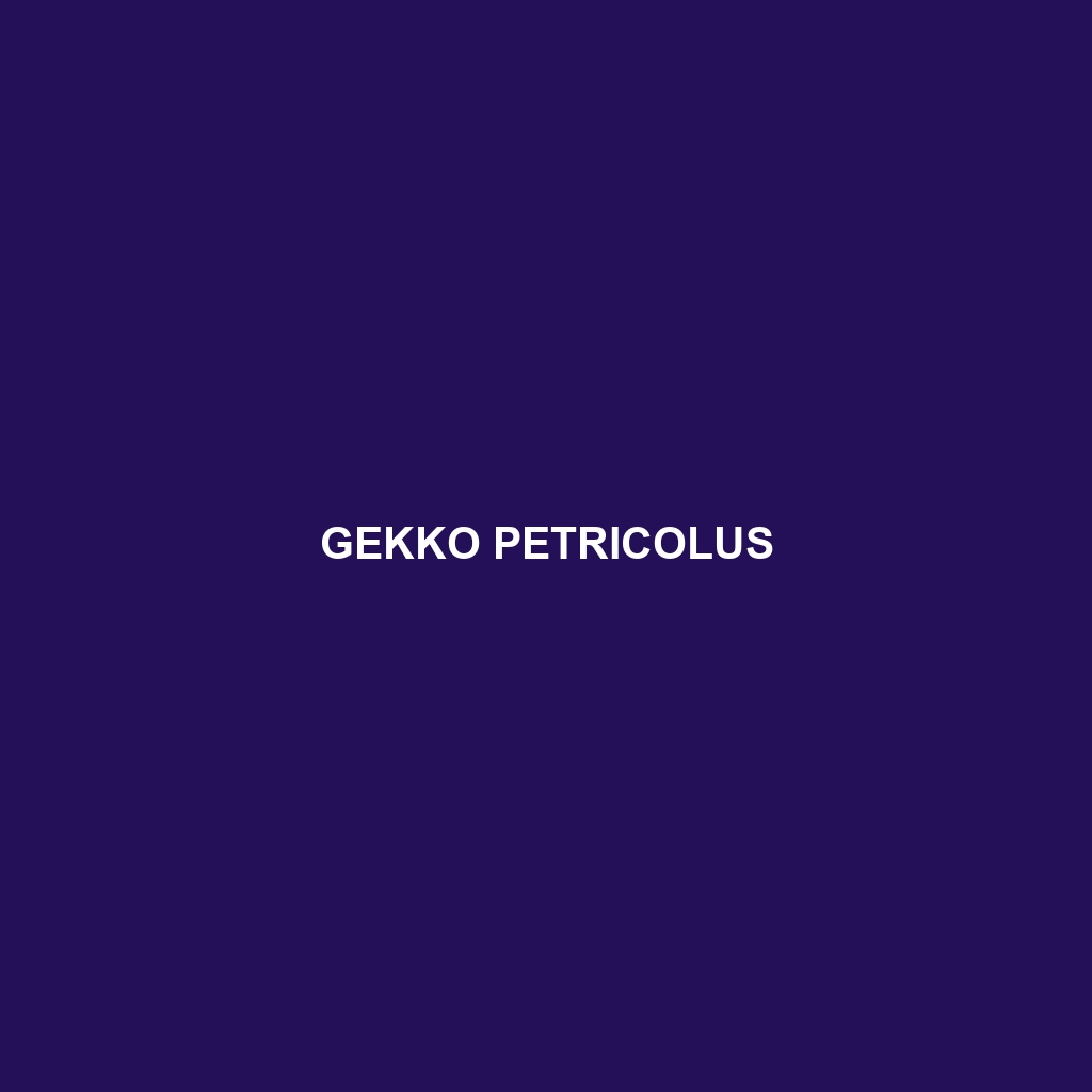 Gekko petricolus