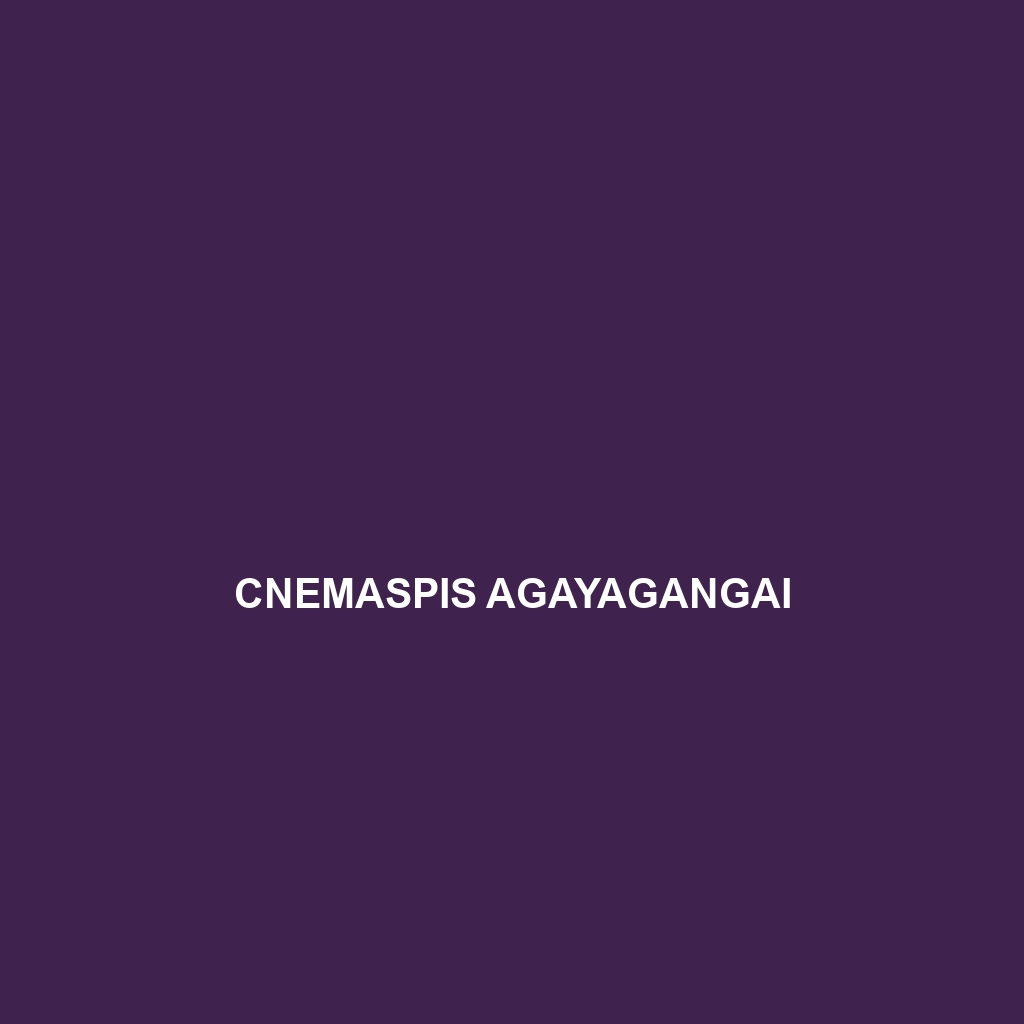 Cnemaspis agayagangai