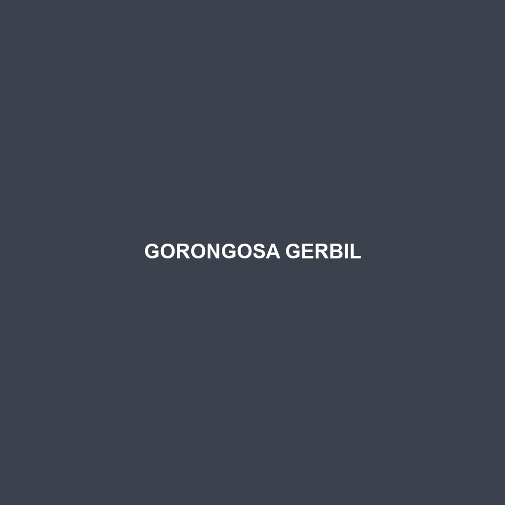 Gorongosa Gerbil