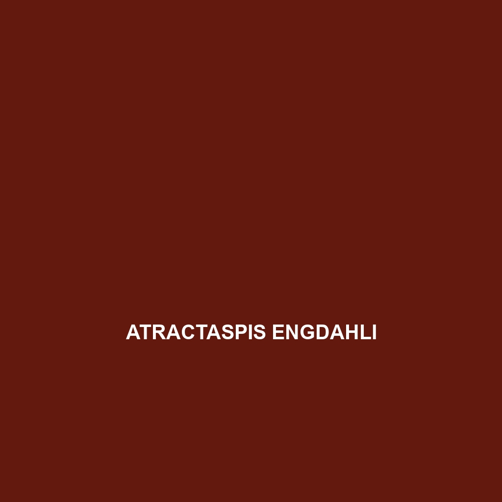 Atractaspis engdahli