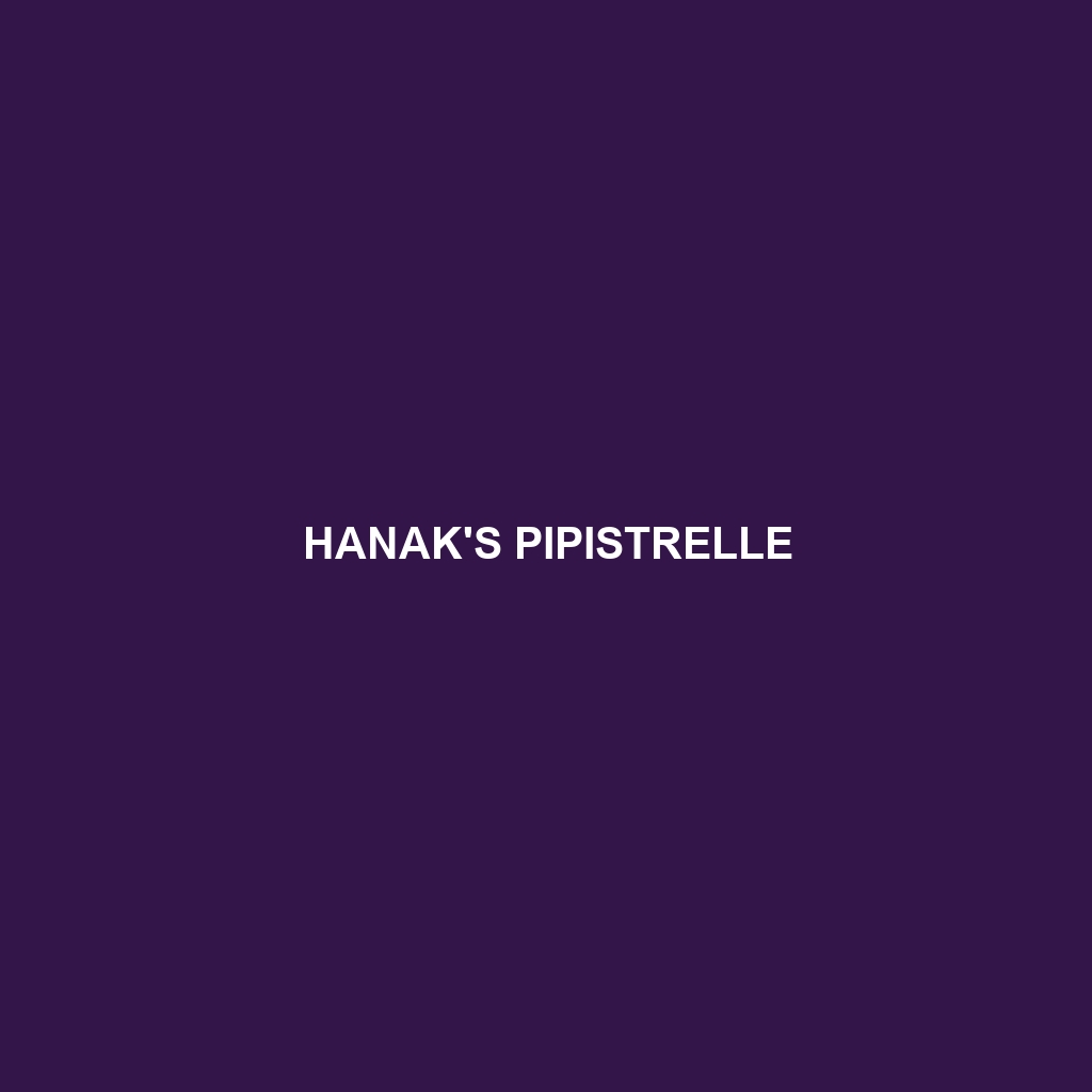 Hanak's Pipistrelle