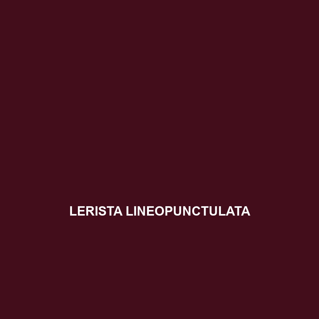 Lerista lineopunctulata