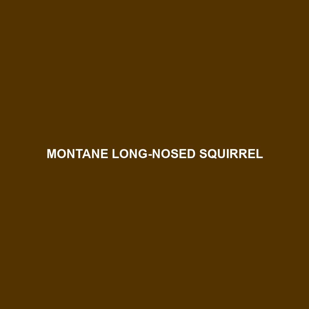 Montane Long-nosed Squirrel