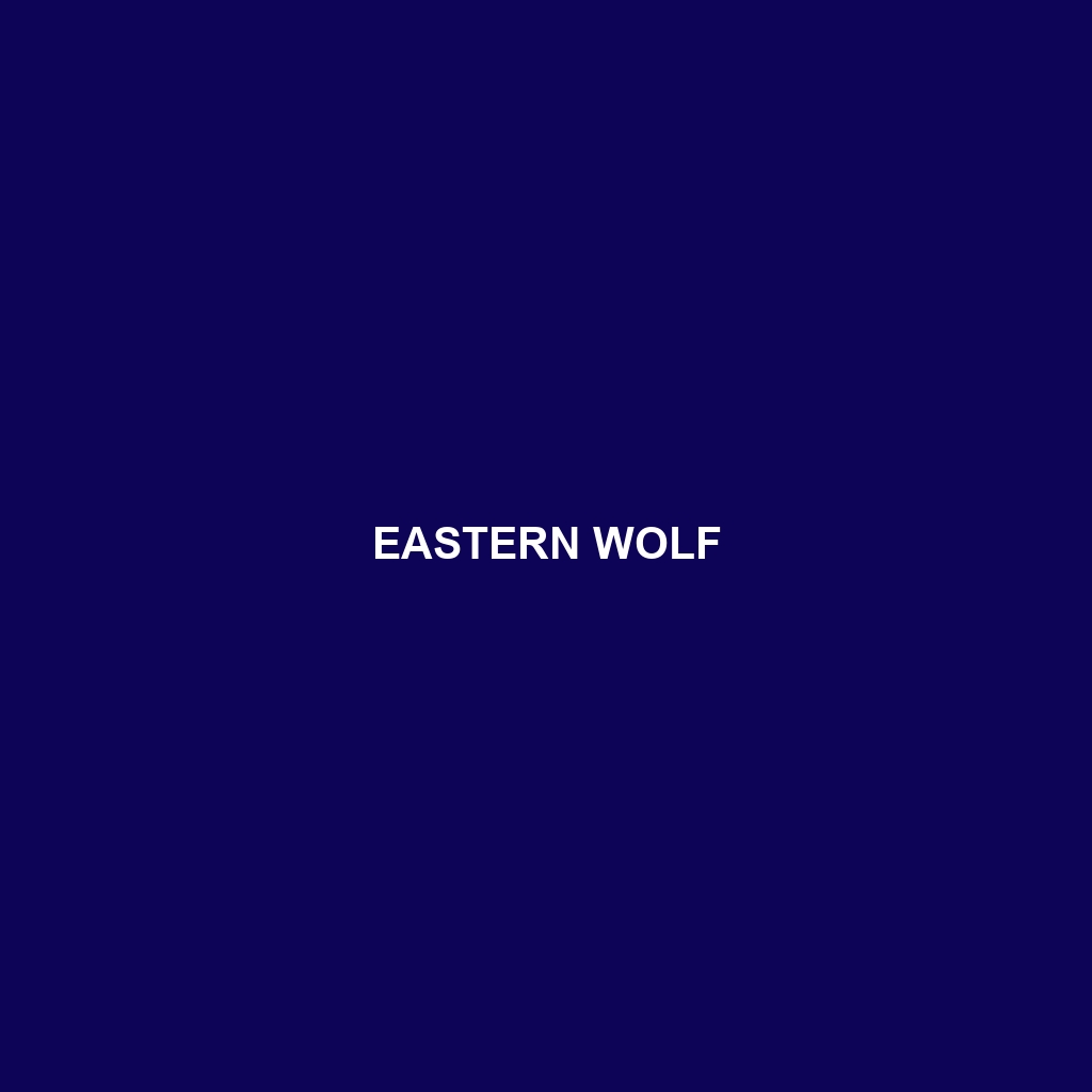 Eastern Wolf