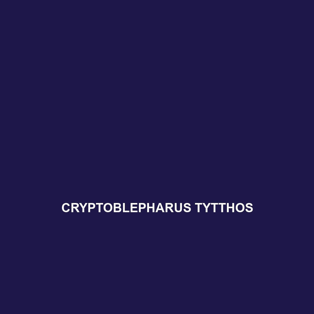 Cryptoblepharus tytthos