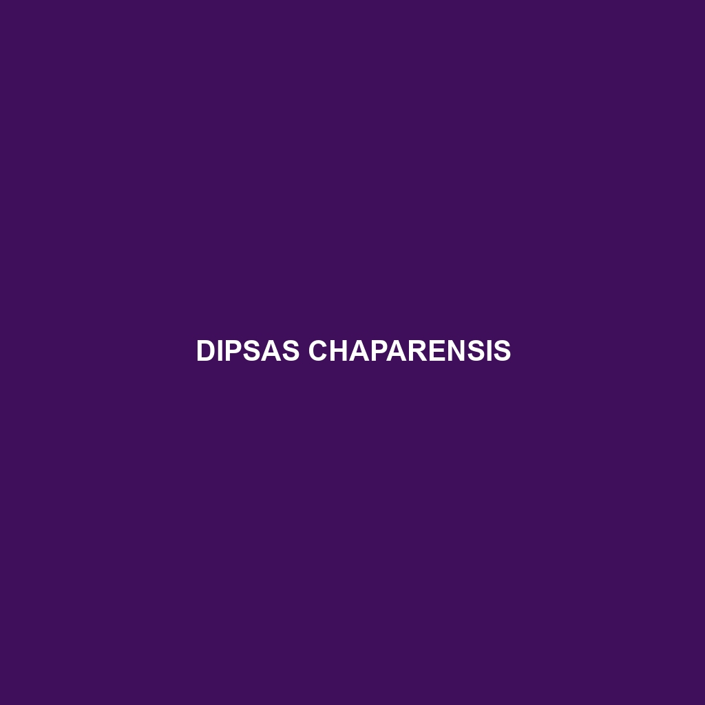 Dipsas chaparensis