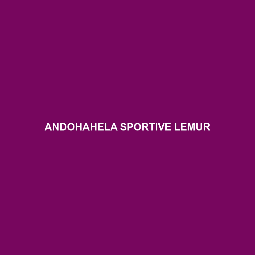 Andohahela Sportive Lemur