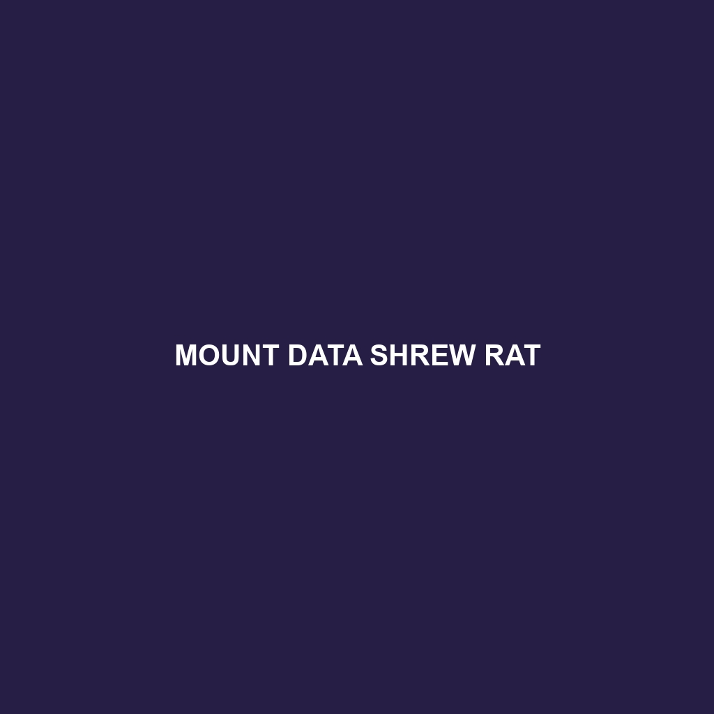 Mount Data Shrew Rat