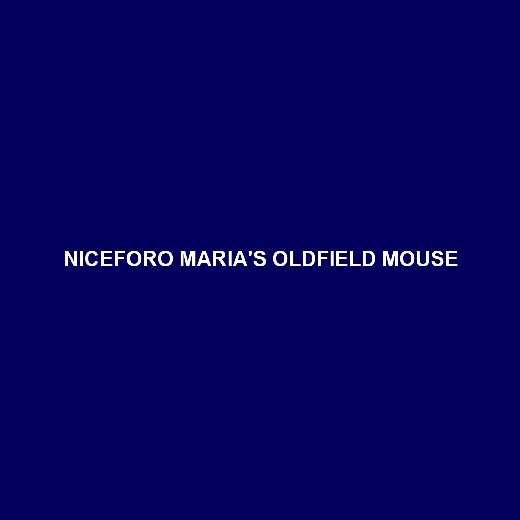 Niceforo Maria's Oldfield Mouse