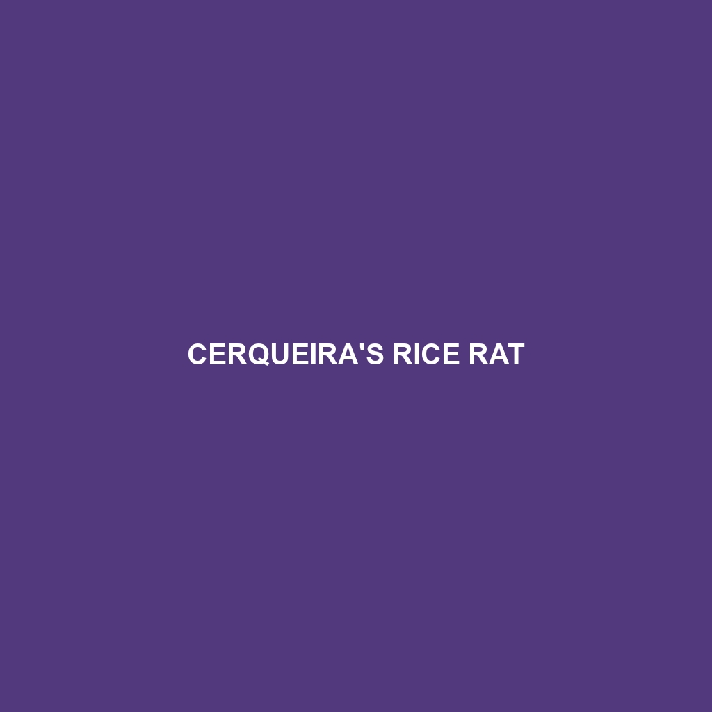 Cerqueira's Rice Rat