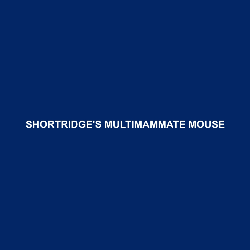 Shortridge's Multimammate Mouse