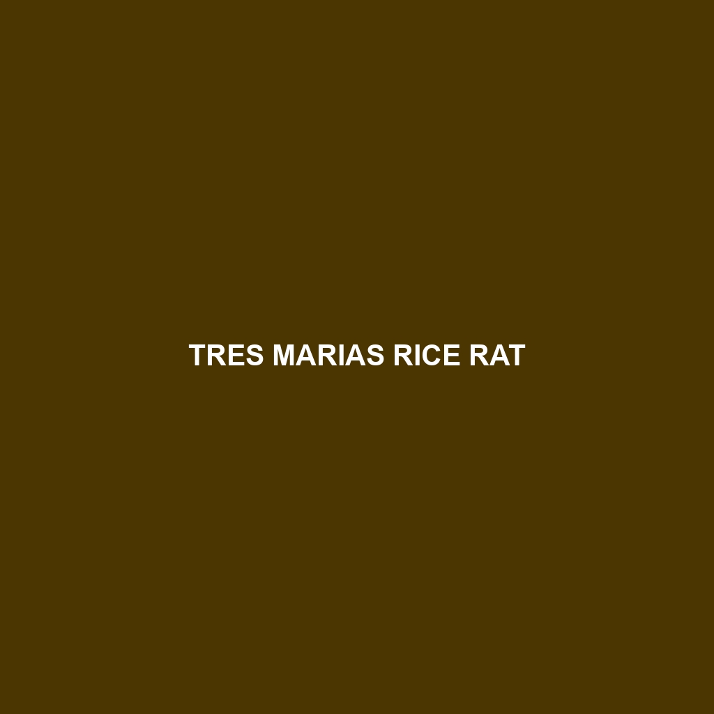 Tres Marias Rice Rat