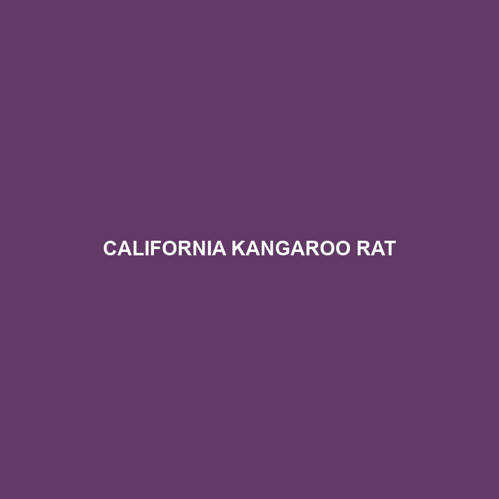 California Kangaroo Rat