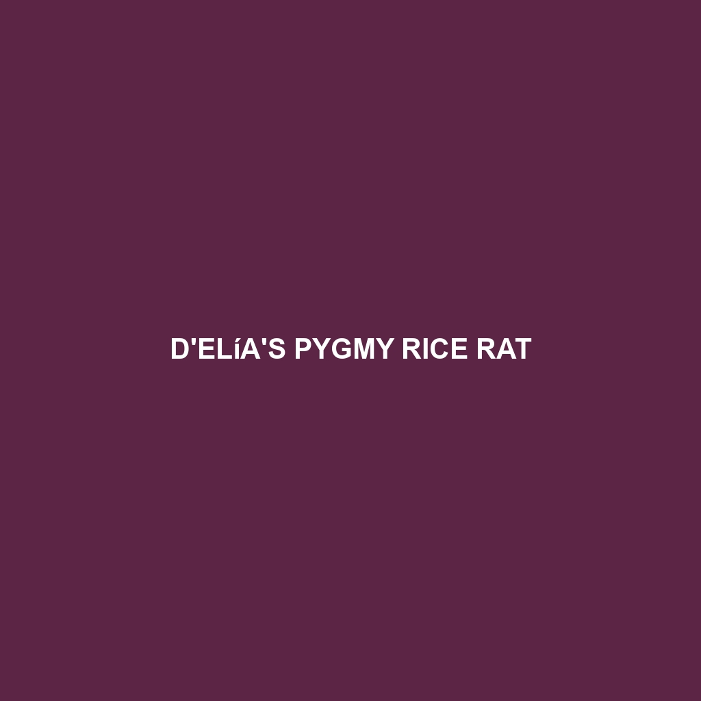 D'Elía's Pygmy Rice Rat