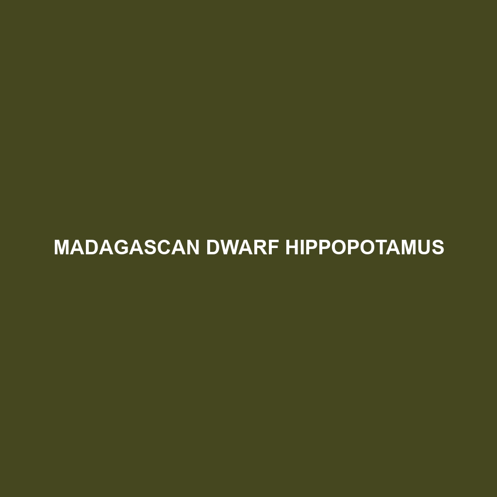 Madagascan Dwarf Hippopotamus