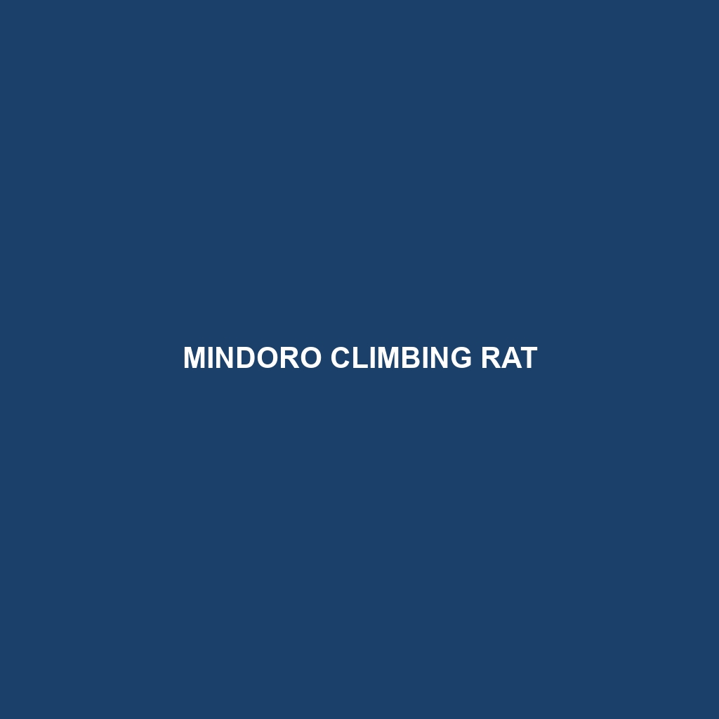 Mindoro Climbing Rat