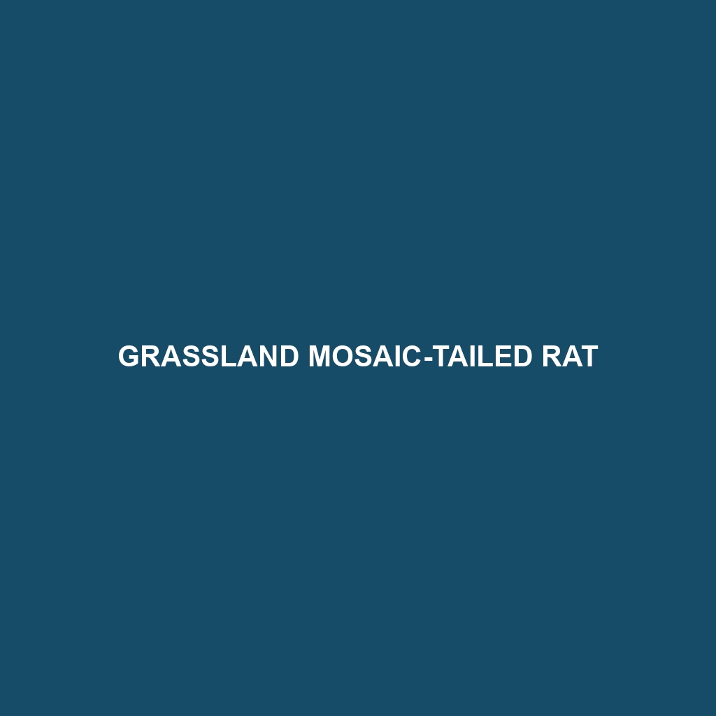 Grassland Mosaic-tailed Rat