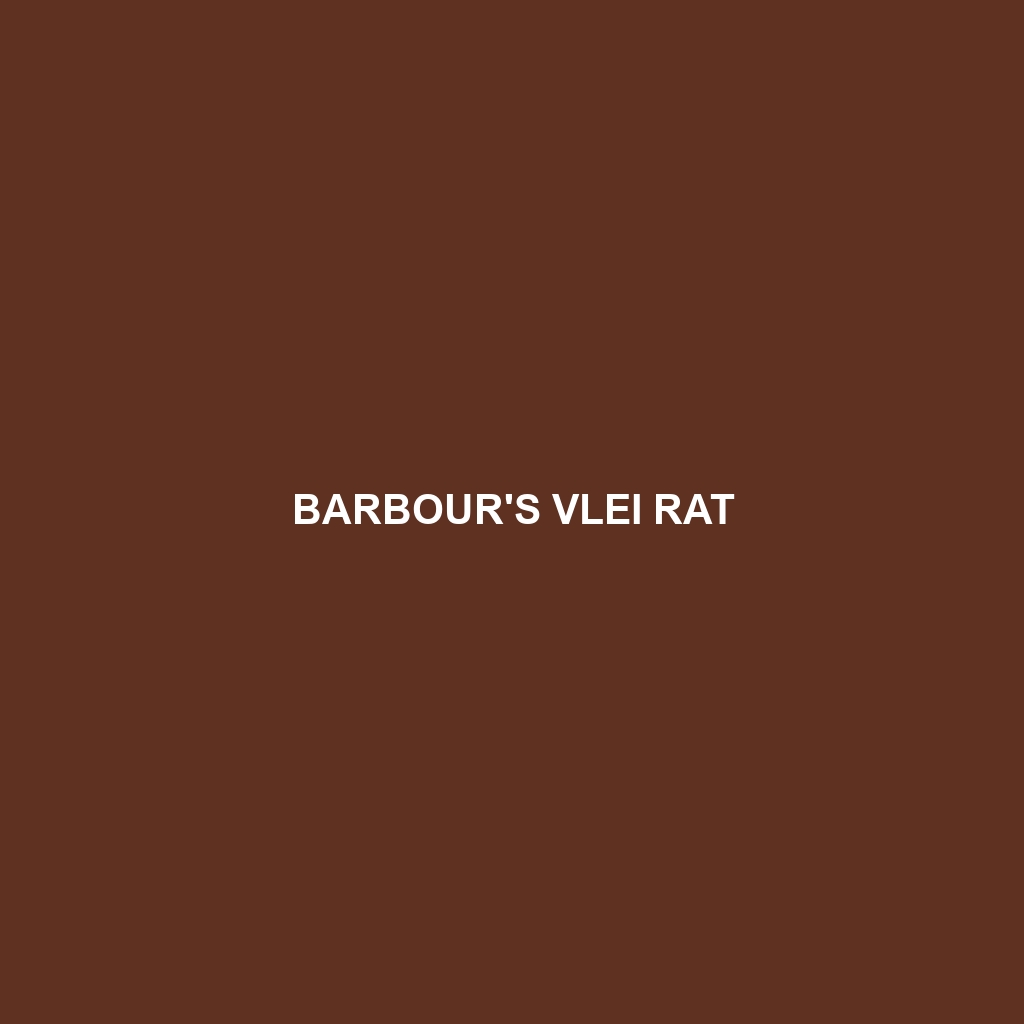 Barbour's Vlei Rat