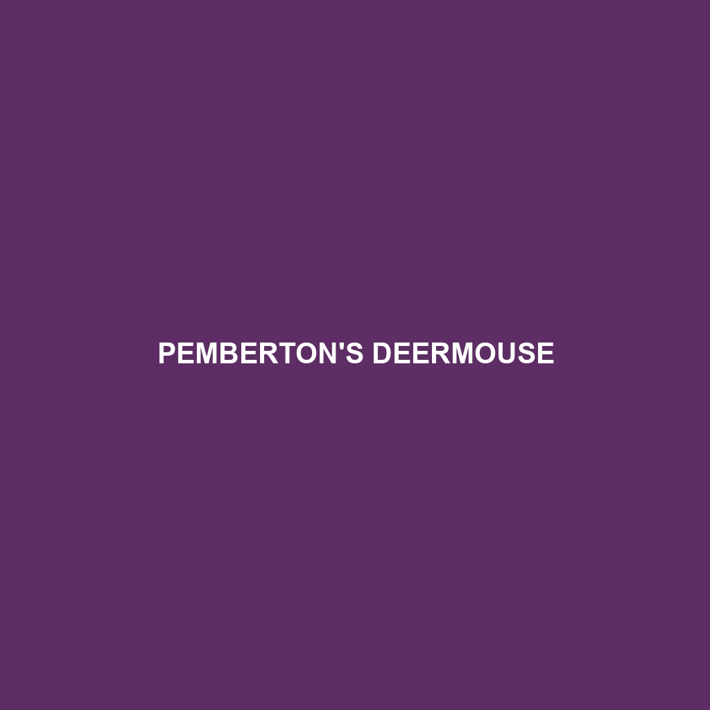 Pemberton's Deermouse