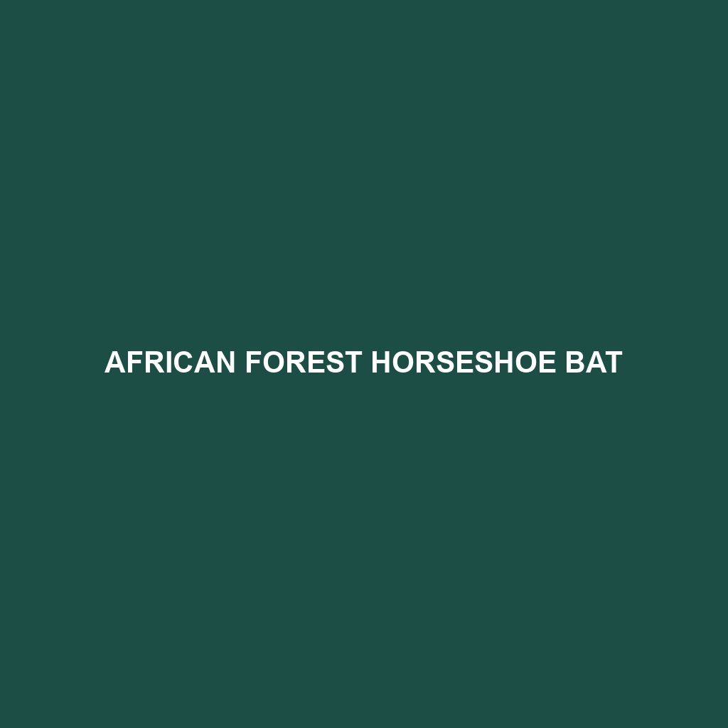 African Forest Horseshoe Bat