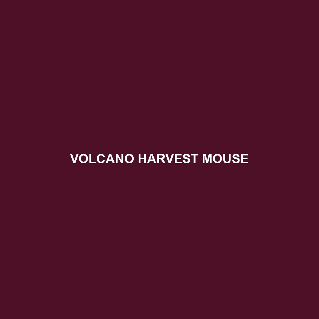 Volcano Harvest Mouse