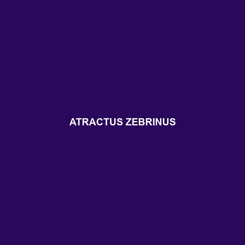 Atractus zebrinus