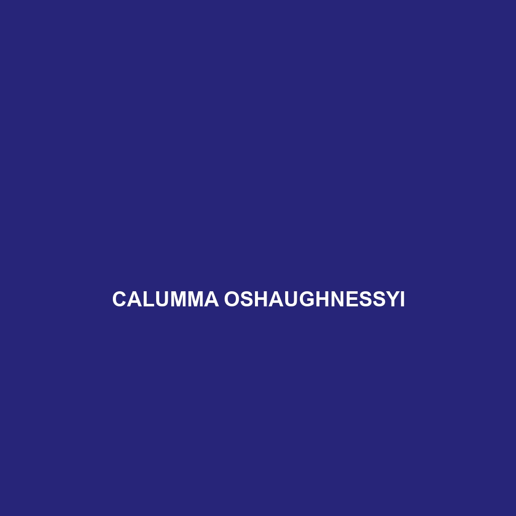 Calumma oshaughnessyi