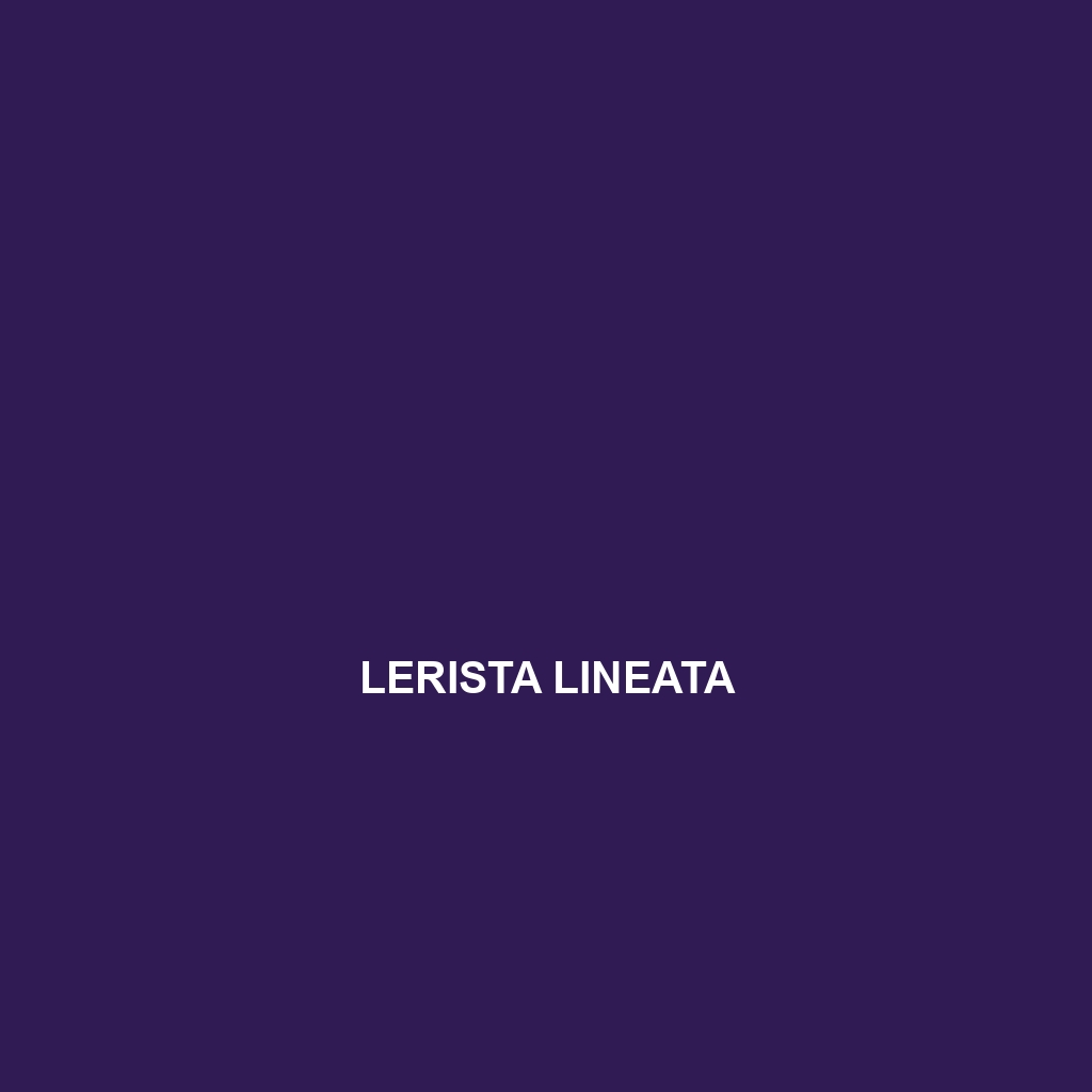 Lerista lineata