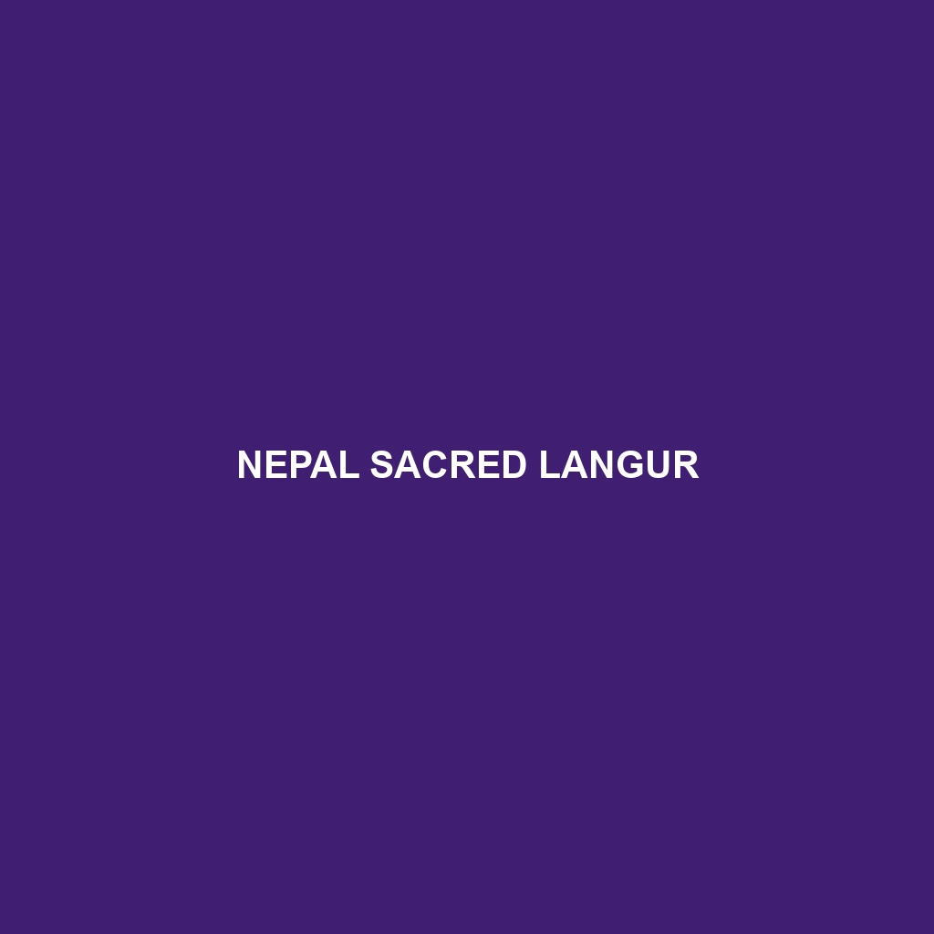 Nepal Sacred Langur