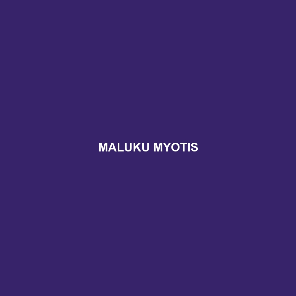 Maluku Myotis